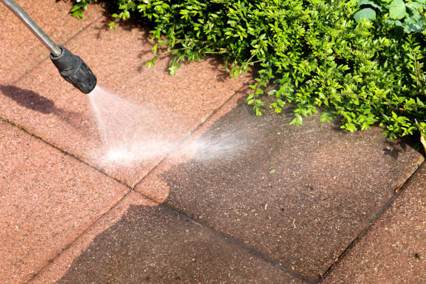 Best Deck Cleaning Services  in Whitehall, WI